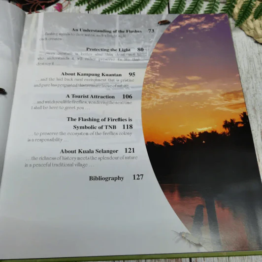 The Mysterious & Magical World of Firefiles รูปที่ 12
