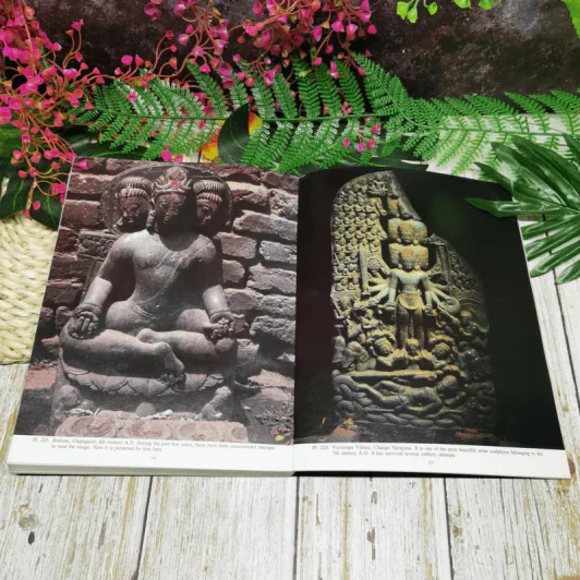 Stolen Images of Nepal รูปที่ 13