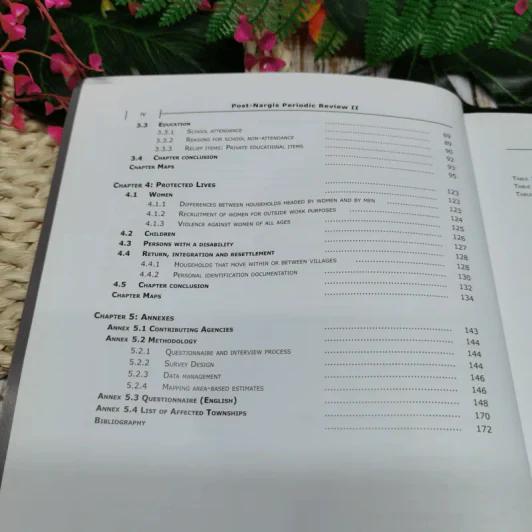 Post-Nargis Periodic Review II รูปที่ 8