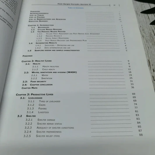Post-Nargis Periodic Review II รูปที่ 7