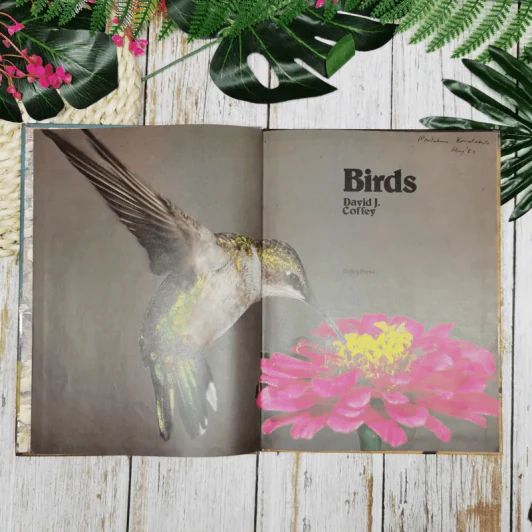 Birds - David J. Coffey รูปที่ 6