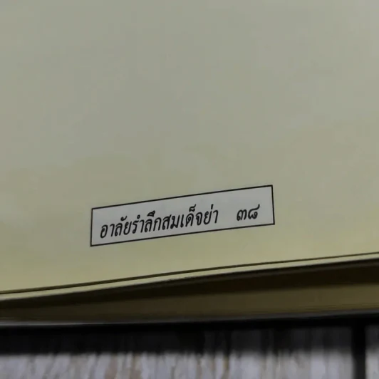 อาลัยรำลึกสมเด็จย่า รูปที่ 8