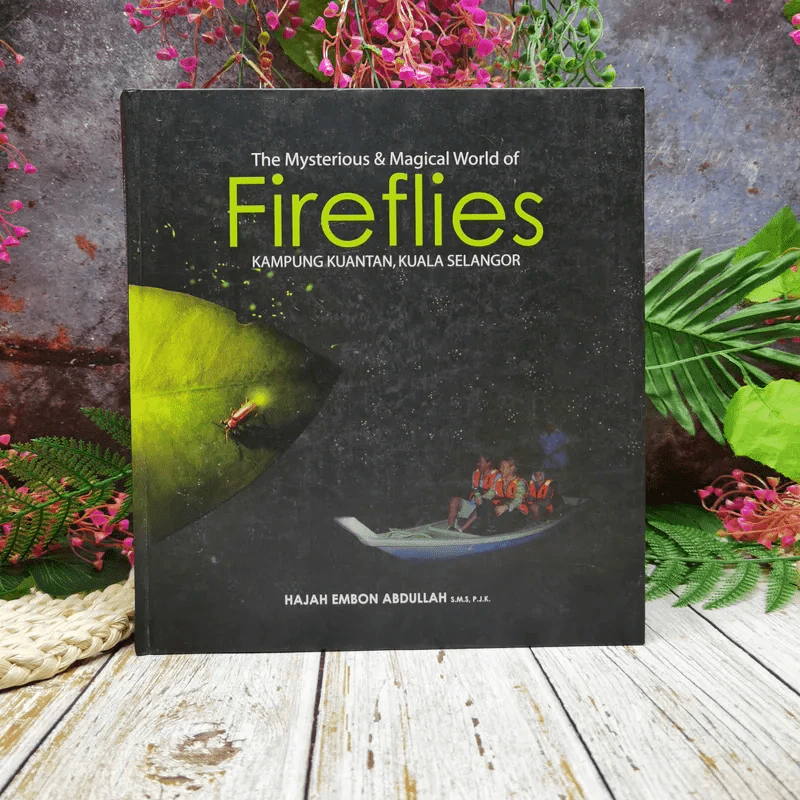 The Mysterious & Magical World of Firefiles รูปที่ 1