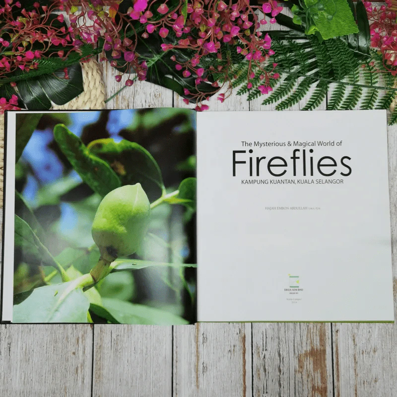 The Mysterious & Magical World of Firefiles รูปที่ 8