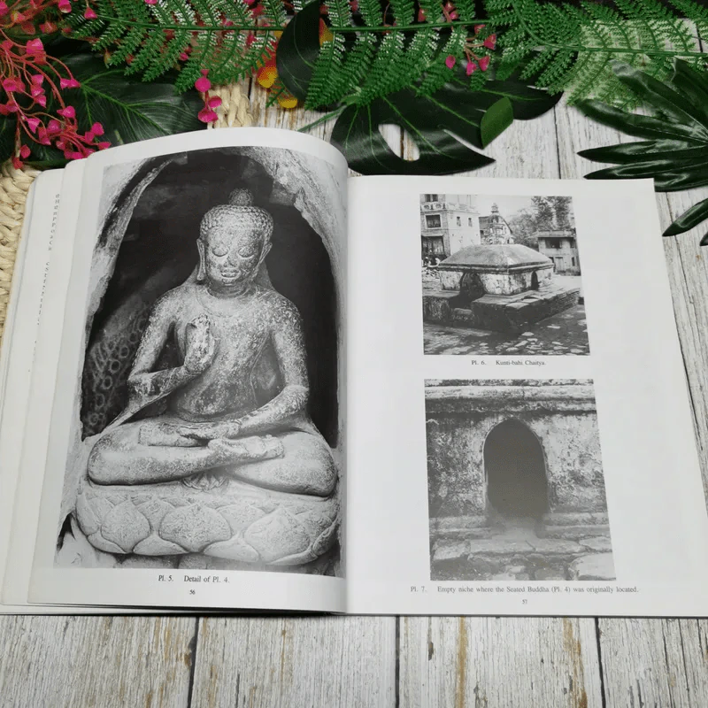 Stolen Images of Nepal รูปที่ 11