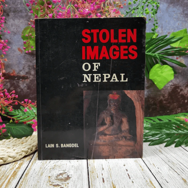 Stolen Images of Nepal รูปที่ 1