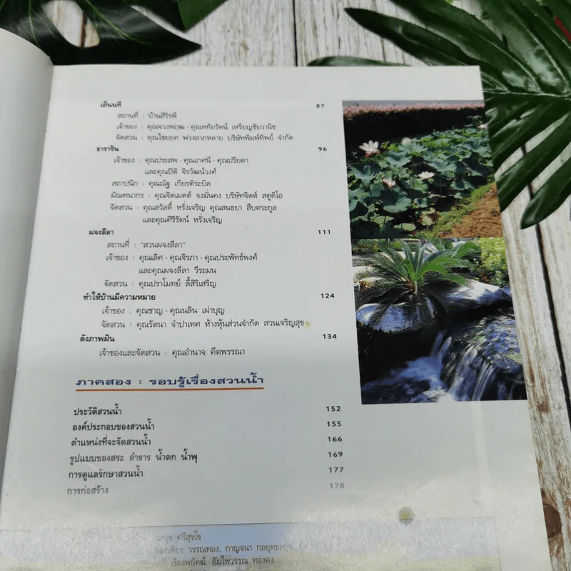 คู่มือการจัดและตกแต่ง สวนในบ้าน เล่ม 3 สวนน้ำ 1 รูปที่ 9