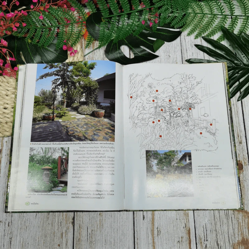 คู่มือการจัดและตกแต่ง สวนในบ้าน เล่ม 3 สวนน้ำ 1 รูปที่ 11
