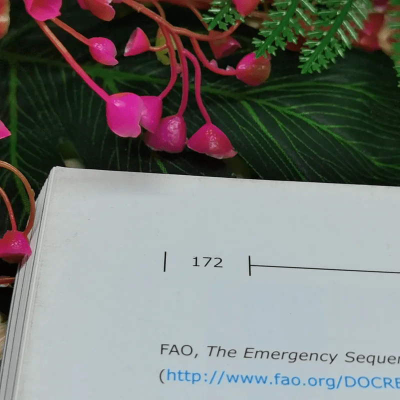 Post-Nargis Periodic Review II รูปที่ 13