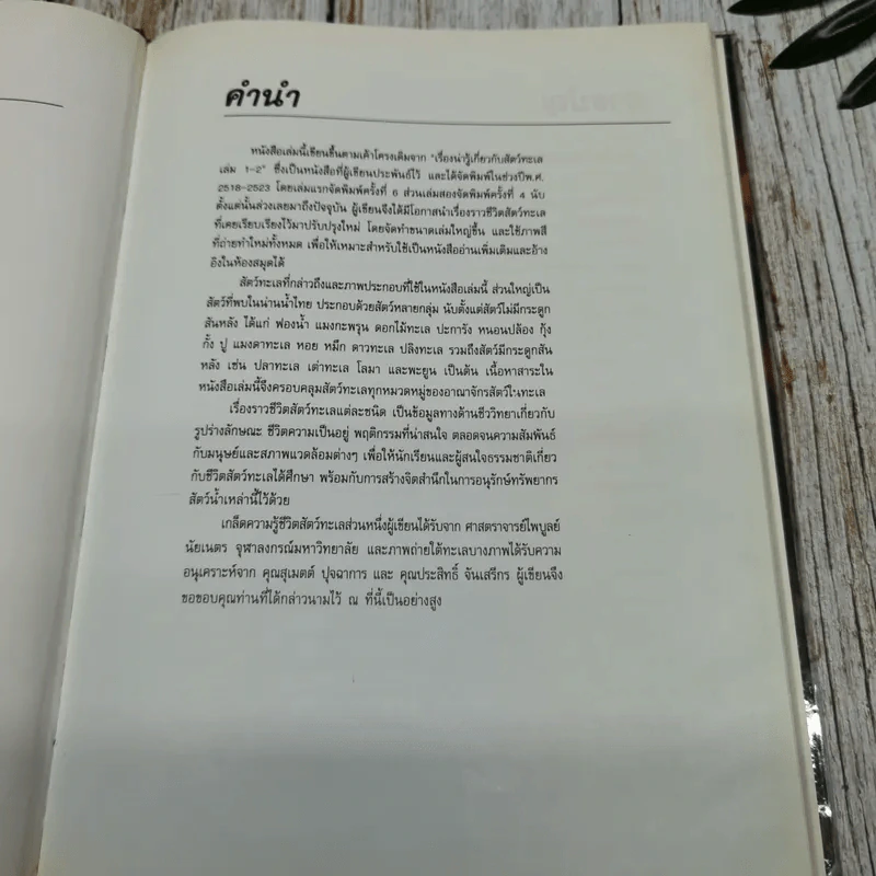เรื่องน่ารู้เกี่ยวกับสัตว์ทะเล รูปที่ 7