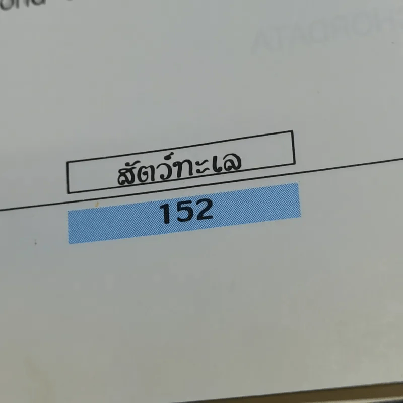 เรื่องน่ารู้เกี่ยวกับสัตว์ทะเล รูปที่ 14