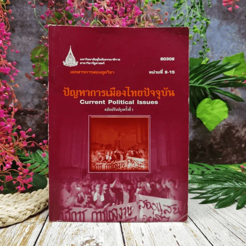 ปัญหาทางการเมืองไทยปัจจุบัน Current Political Issues รูปที่ 1
