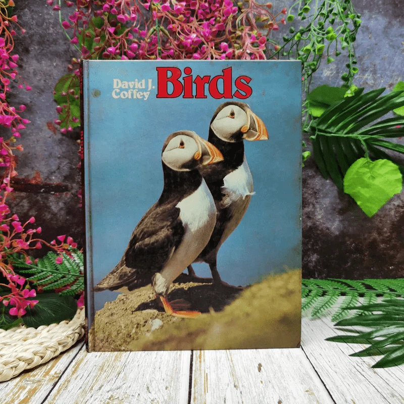 Birds - David J. Coffey รูปที่ 1