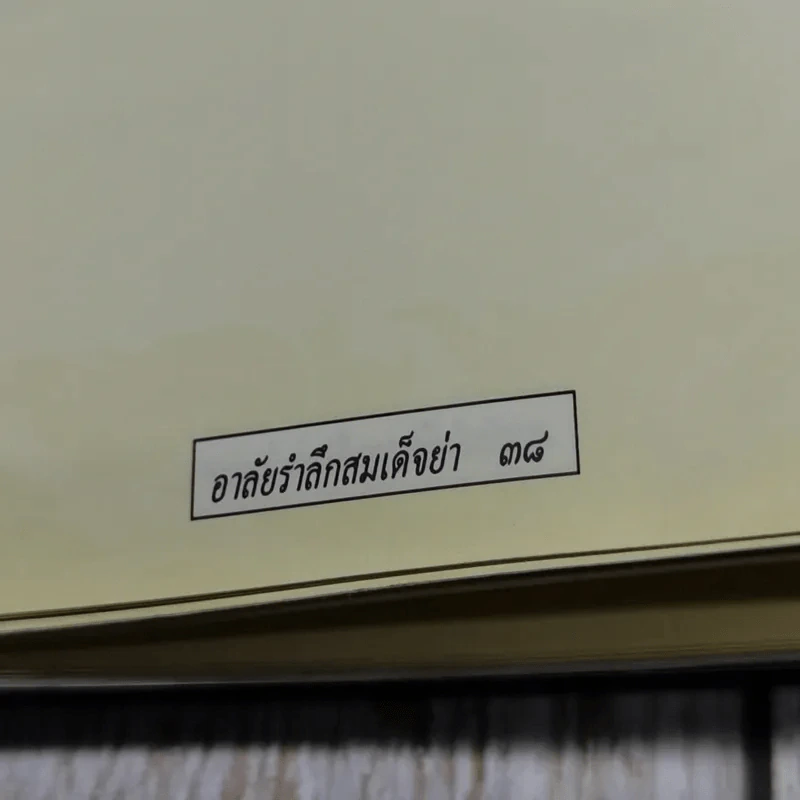 อาลัยรำลึกสมเด็จย่า รูปที่ 8