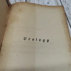 คำบรรยายวิชา Urology รูปที่ 6
