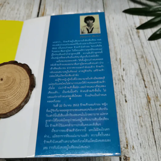 ช่างสำราญ รูปที่ 11