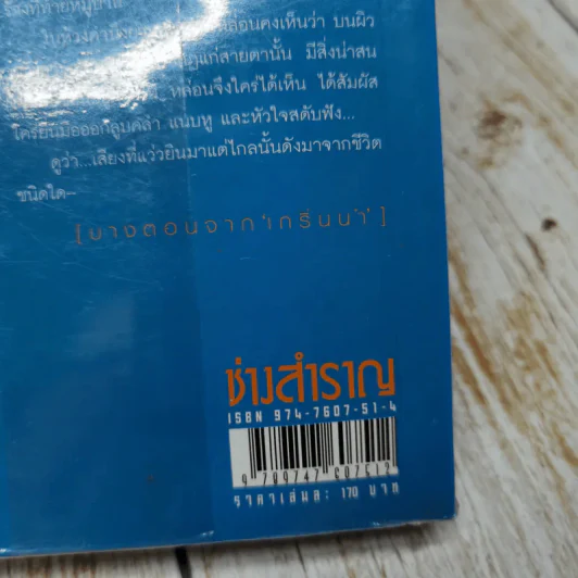 ช่างสำราญ รูปที่ 5