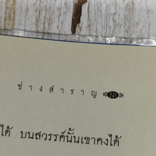 ช่างสำราญ รูปที่ 12