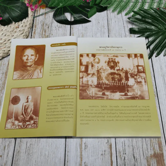 ประวัติหลวงพ่อปาน โสนันโท (พระครูวิหารกิจจานุการ) รูปที่ 8