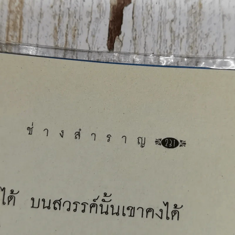 ช่างสำราญ รูปที่ 12