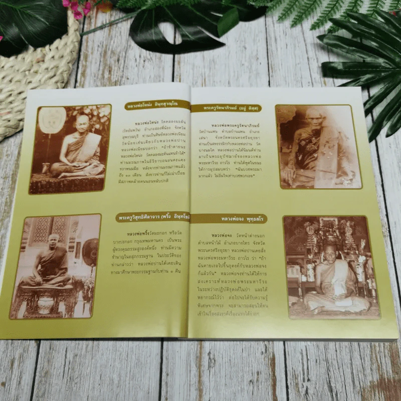 ประวัติหลวงพ่อปาน โสนันโท (พระครูวิหารกิจจานุการ) รูปที่ 7