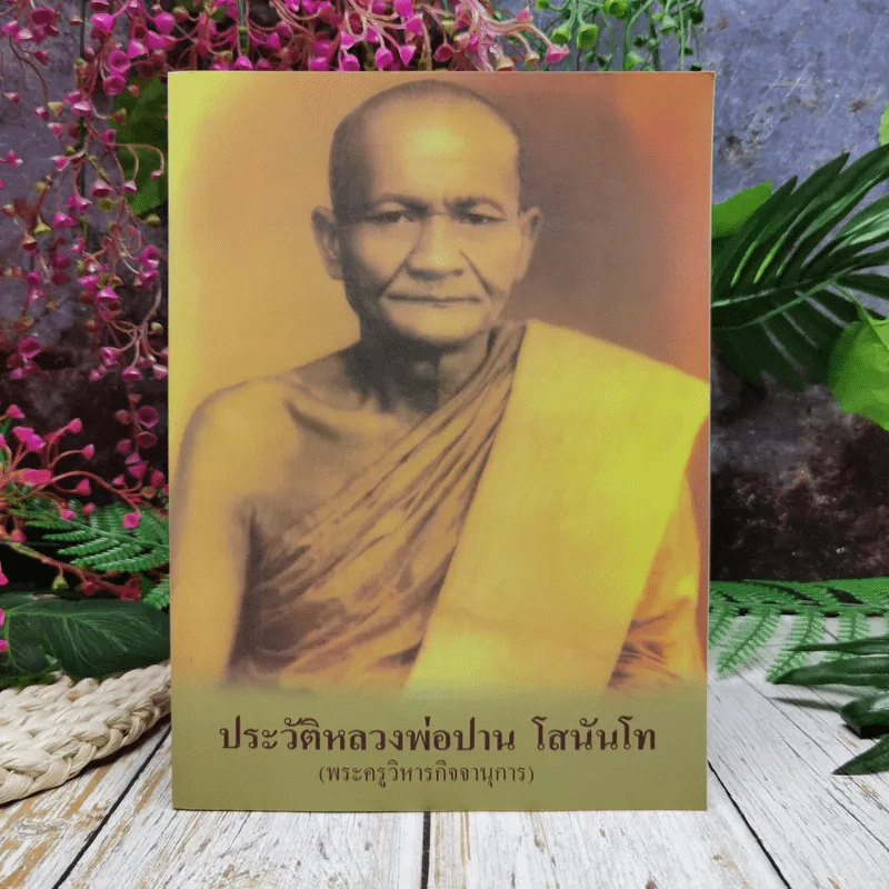 ประวัติหลวงพ่อปาน โสนันโท (พระครูวิหารกิจจานุการ) รูปที่ 1