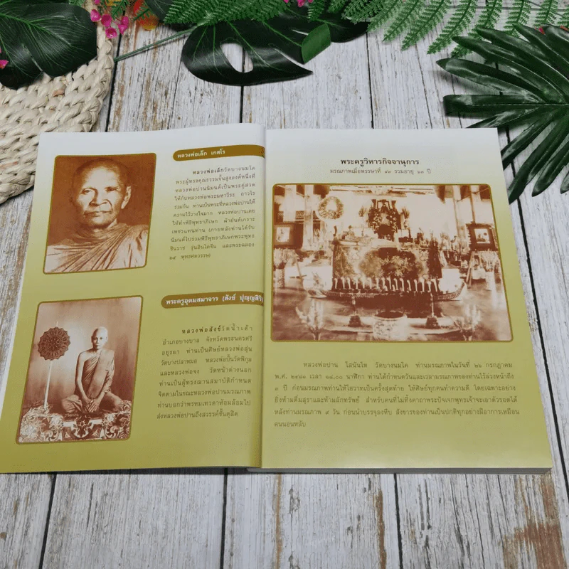 ประวัติหลวงพ่อปาน โสนันโท (พระครูวิหารกิจจานุการ) รูปที่ 8