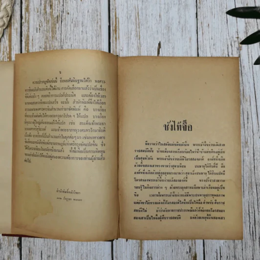 พงศาวดารจีน ซังไท้จื๊อ รูปที่ 8