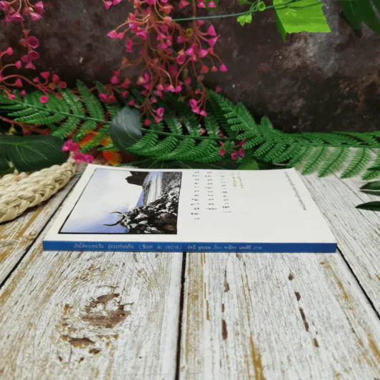 เดินใต้ดวงตะวัน สู่สวรรค์บนดิน (ธิเบต & เนปาล) รูปที่ 2