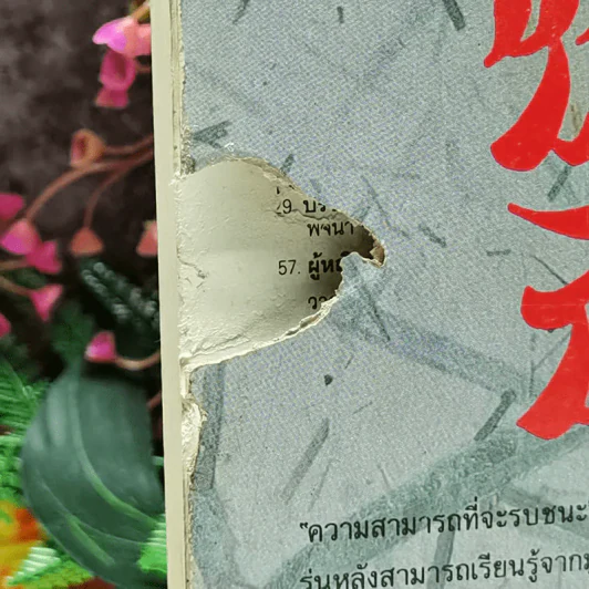 มูซาชิ ฉบับท่าพระจันทร์ รูปที่ 5