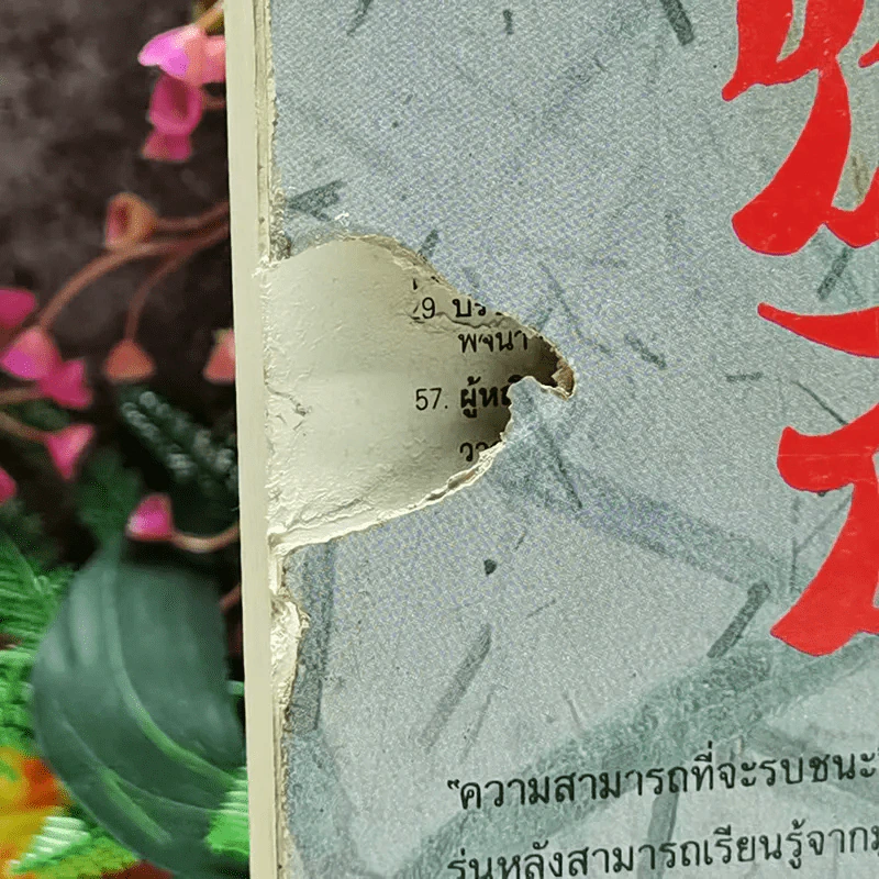 มูซาชิ ฉบับท่าพระจันทร์ รูปที่ 5