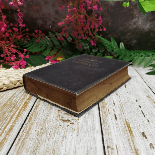 New Model Thai - English Dictionary รูปที่ 3