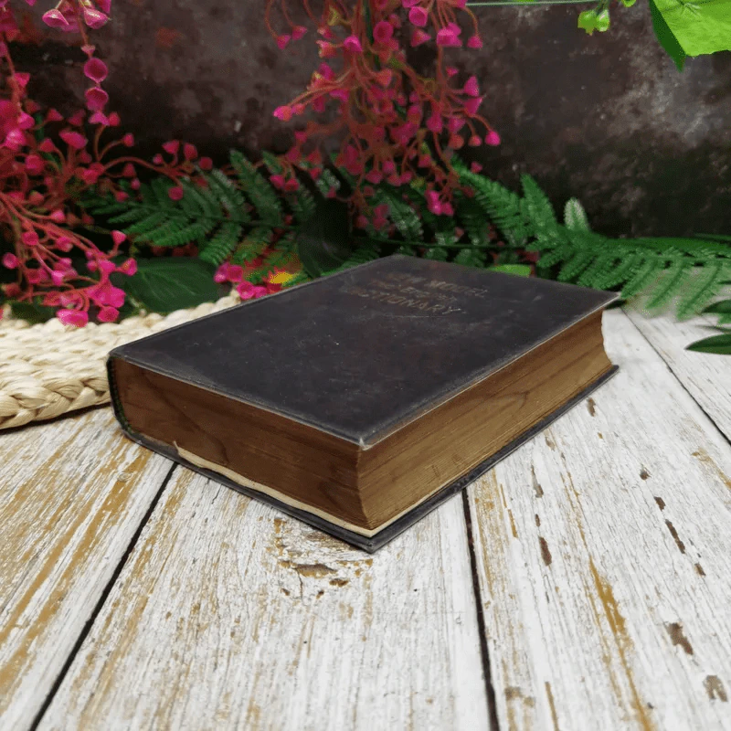 New Model Thai - English Dictionary รูปที่ 3