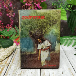 สุดปรารถนา - วิญญาณ รูปที่ 1