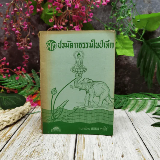 ฝึกปรมัตถธรรมในป่าลึก รูปที่ 1