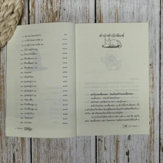 วันของหมา รูปที่ 8