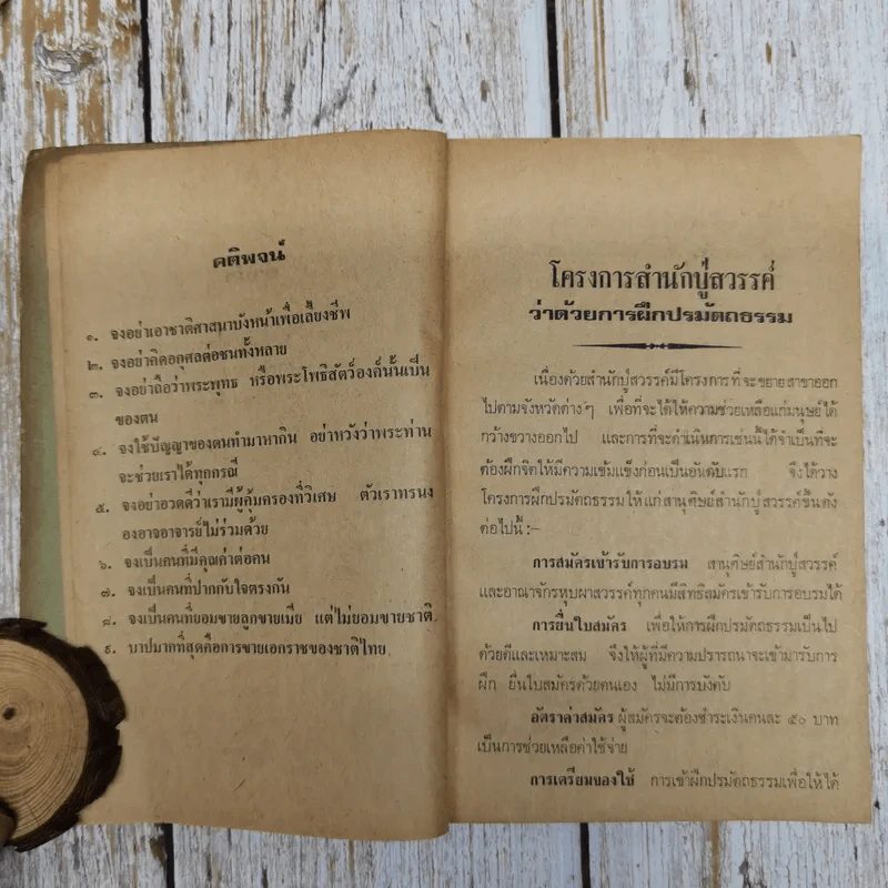 ฝึกปรมัตถธรรมในป่าลึก รูปที่ 8