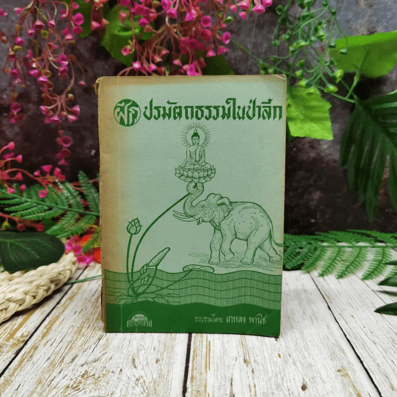ฝึกปรมัตถธรรมในป่าลึก รูปที่ 1
