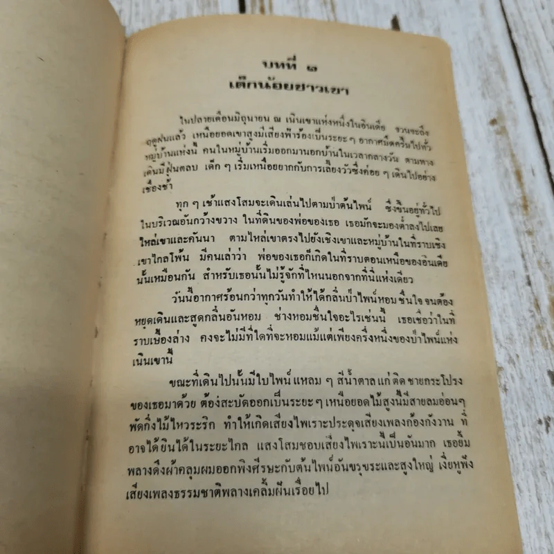 แสงโสม - ลมุล รัตตากร รูปที่ 9