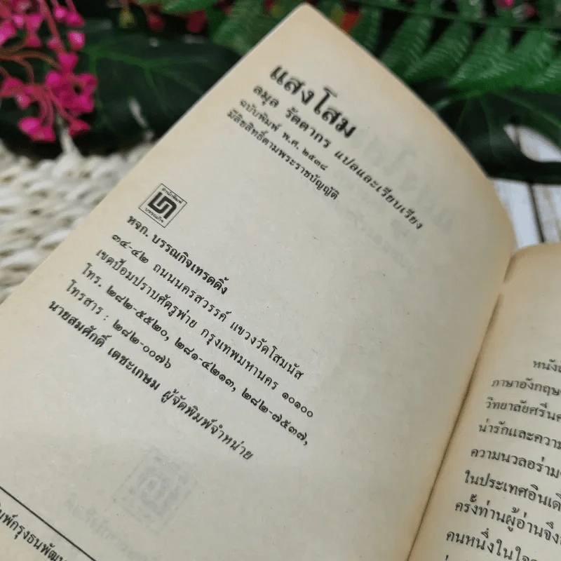 แสงโสม - ลมุล รัตตากร รูปที่ 6