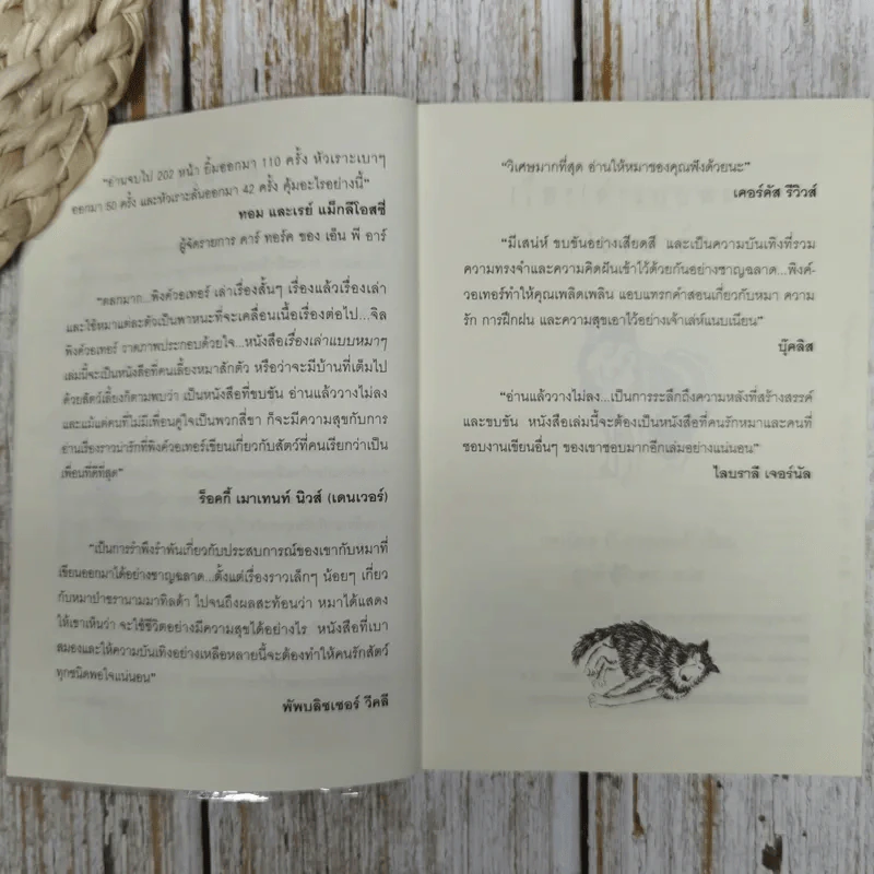 เรื่องเล่าแบบหมาๆไม่น่ารัก รูปที่ 6