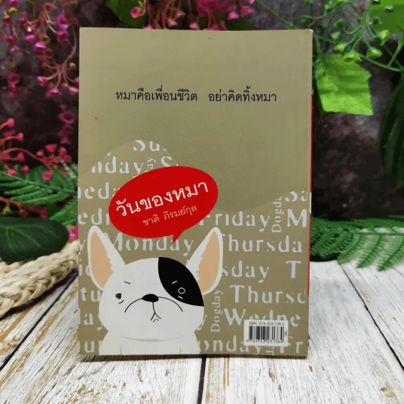 วันของหมา รูปที่ 4