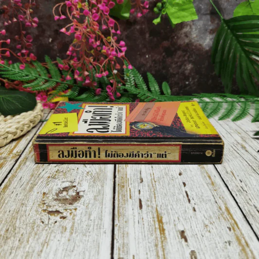 ลงมือทำไม่ต้องมีคำว่าแต่ รูปที่ 2