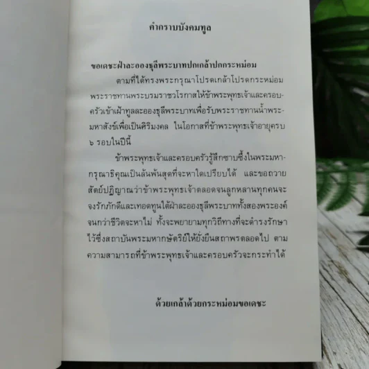 รอบที่ 6 ของชีวิต เผด็จการหรือประชาธิปไตย รูปที่ 8