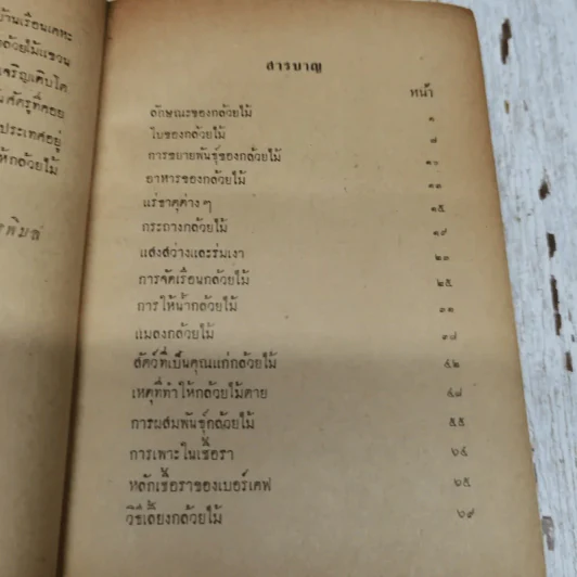 กล้วยไม้ รูปที่ 6