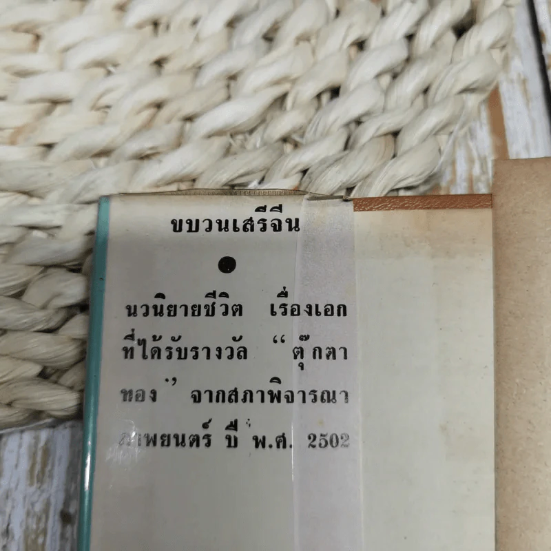 ขบวนเสรีจีน รูปที่ 5