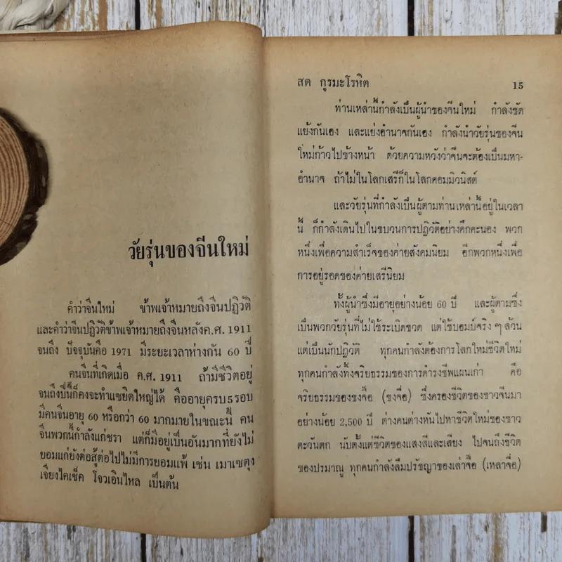 ขบวนเสรีจีน รูปที่ 8