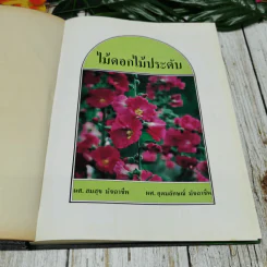 ไม้ดอกไม้ประดับ รูปที่ 5