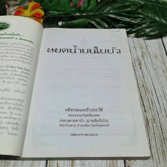 หยดน้ำบนใบบัว คติธรรมและชีวประวัติของหลวงตามหาบัว ญาณสัมปันโน รูปที่ 5