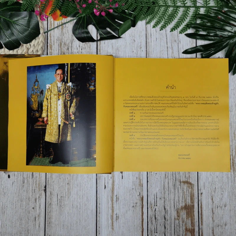 พระบาทสมเด็จพระเจ้าอยู่หัวกับองคมนตรี รูปที่ 9